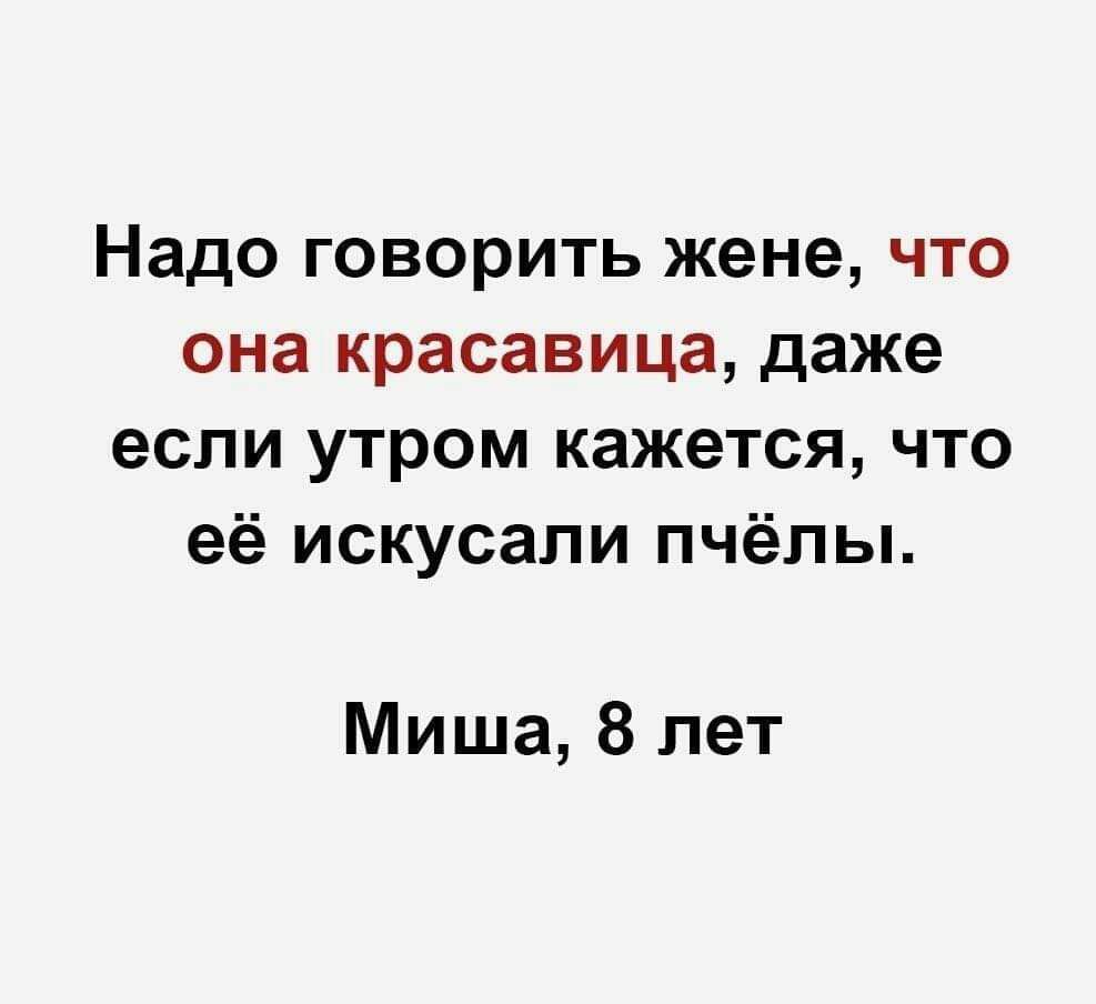 Надо говорить жене что она красавица даже если утром кажется что её искусали пчёлы Миша 8 лет