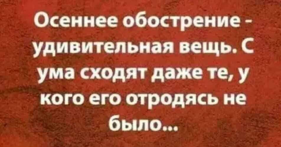 Осеннее обострение удивительная вещь С ума сходят даже те у кого его отродясь не было