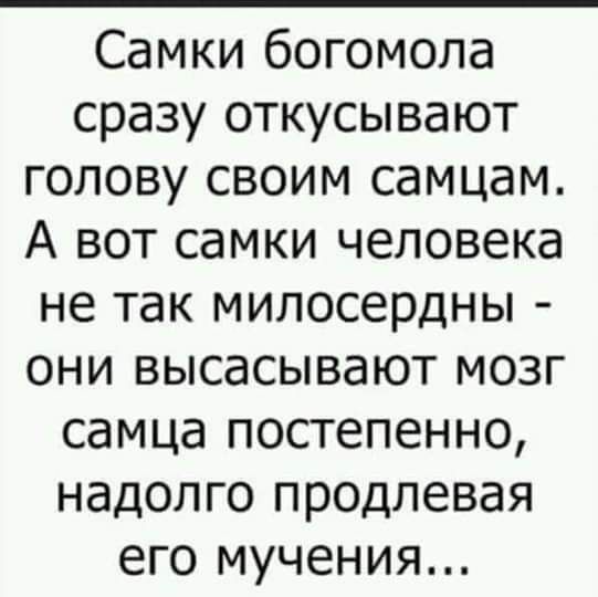 Самки богомола сразу откусывают голову своим самцам А вот самки человека не так милосердны они высасывают мозг самца постепенно надолго продлевая его мучения