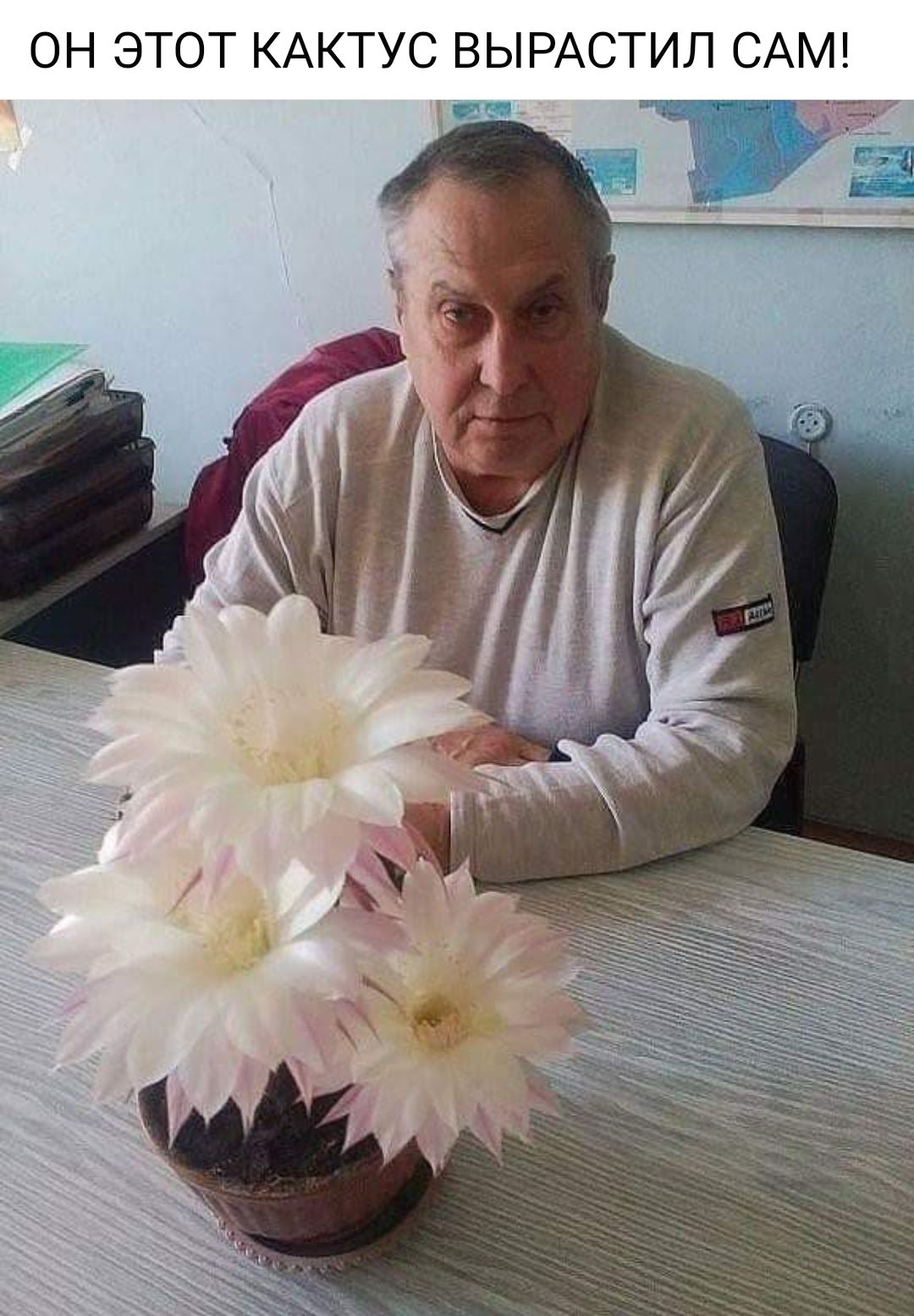 ОН ЭТОТ КАКТУС ВЫРАСТИЛ САМ