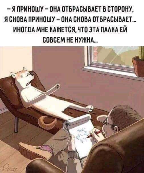 Я ПРИНОШУ ОНА ОТБРАСЫВАЕТ В СТОРОНУ Я СНОВА ПРИНОШУ ОНА СНОВА ОТБРАСЫВАЕТ ИНОГДА МНЕ НАМЕТСЯ ЧТО ЭТА ПААНА Ей СОВСЕМ НЕ НУЖНА