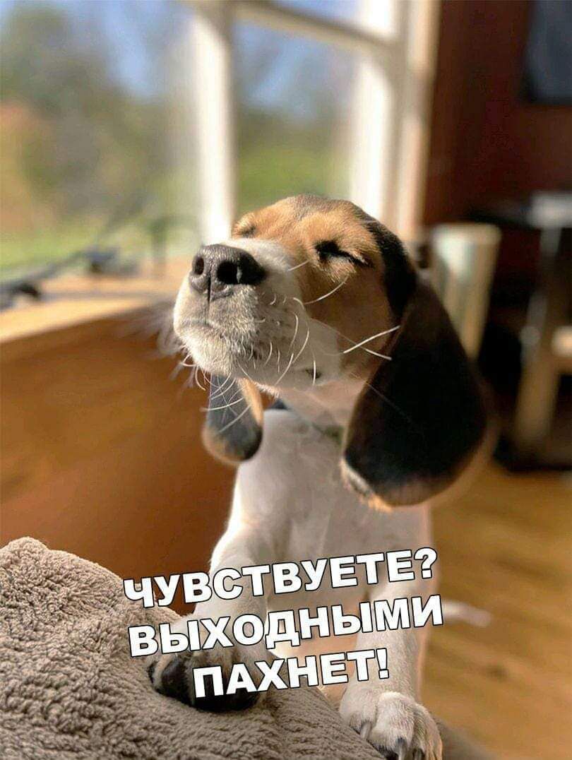 СтВ Е однЫМИ НЕ