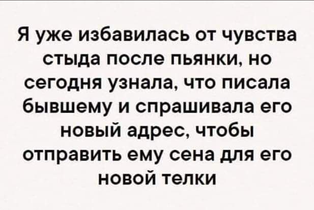 Я уже избавилась от чувства стыда после пьянки но сегодня узнала что писала бывшему и спрашивала его новый адрес чтобы отправить ему сена для его новой телки