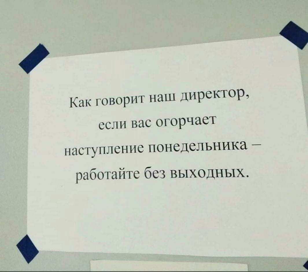 Как говори наш дпрсктир если вас огорчает наступление понедельника рабошй гс без выходных