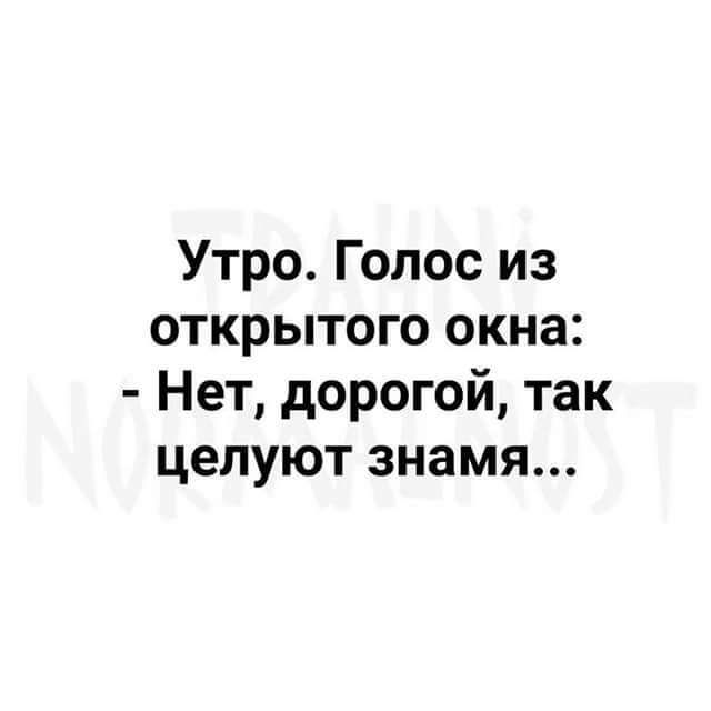 Утро Голос из открытого окна Нет дорогой так целуют знамя