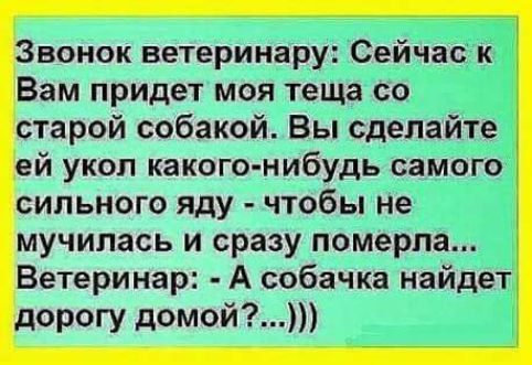 Звонок ветеринару Сейчас к Вам придет моя теща со старой собакой Вы сделайте ей укоп какого нибудь самого сильного яду чтобы не мучилась и сразу померла Ветеринар А собачка найдет дорогу домой