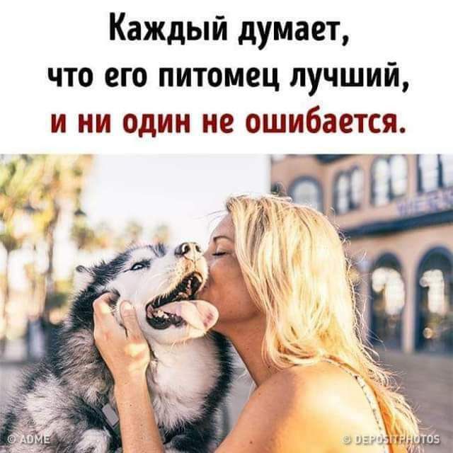 Каждый думает что его питомец лучший и ни один не ошибается _фддддц