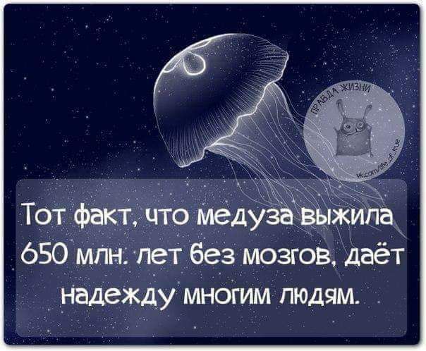 650 млн п_ет без мозгов даёт надежду многим людям