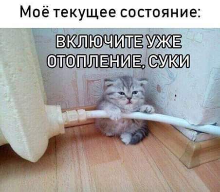 Моё текущее состояние