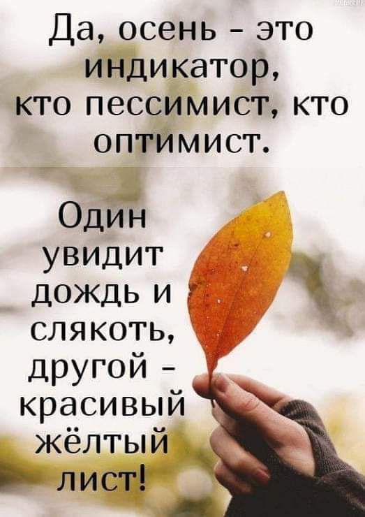 Да осень это индикатор кто пессимист кто оптймист Оди74 увидит дождь и слякоть другой красивый жёлтый Ьлисщ