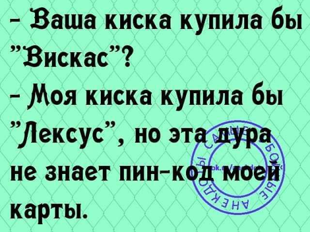 Ваша киска купила бы Вискас Моя киска купила бы Лексус но эт не знает пин к карты Н