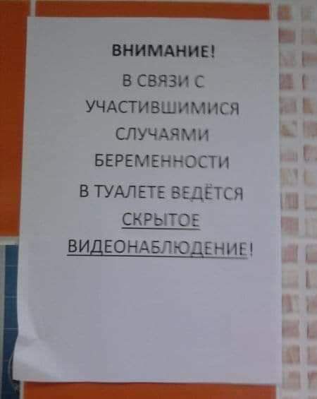 Шишкин в связи с Б УЧАсгившимися случмгми БЕРЕМЕННОСТИ в ТУАЛЕТЕ вщётся скрьггов видеондвлюдгниы