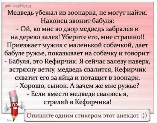 им Мишель убежал из зоопарка не могут найти Нвкаищ звонит бабуля Ой ко мне во двор медведь забрался и на дерево залез Уберите его мне страна ю Приезжает мужик с маленькой собачкой дли бабуле ружье показывает на спбачку и говорит Бабуля это Кефир сию Я сейчас залезу наверх впряхиу ветку медведь свалится Кефир ши схватит его за яйиа и потащит зоопарк Хорошо сынок А зачем же мне ружье Если вмест медв