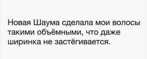 Новая Шаума сделала мои волосы такими объёмными что даже ширинка не застёгивается