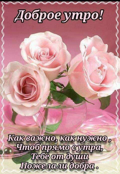 _ Ё _