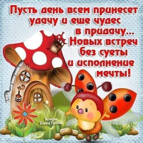 _ Югвгу 3 ЦРЦНЕА шарит шз щас в црддщ _ іііцвьн1_ыв_тз диеты питт мн
