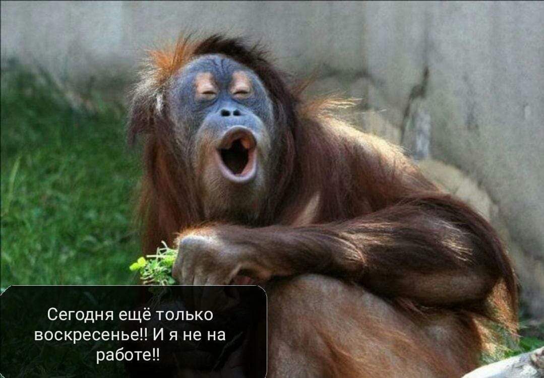 Сегодня еще только и я не на Работе ч