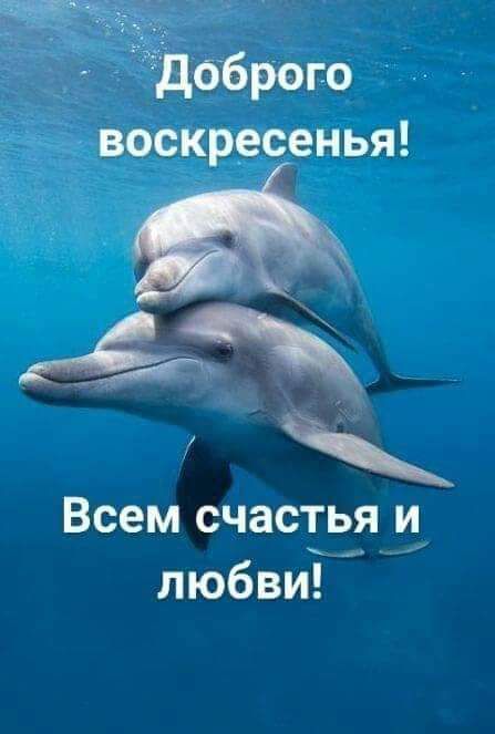 доб рого воскресенья Всем счастья и любви