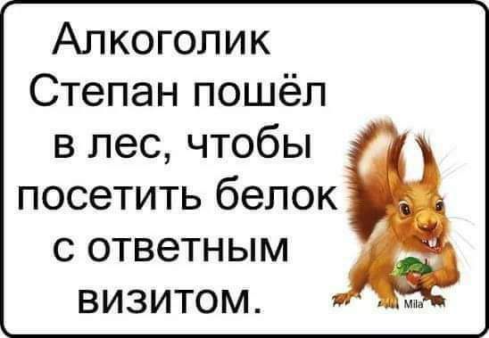 Алкоголик Степан пошёл в лес чтобы посетить белок с ответным визитом