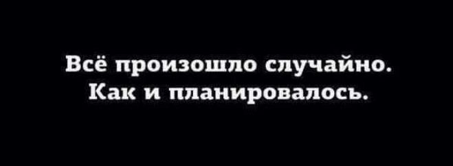 Всё произошло случайно Как и планировалось