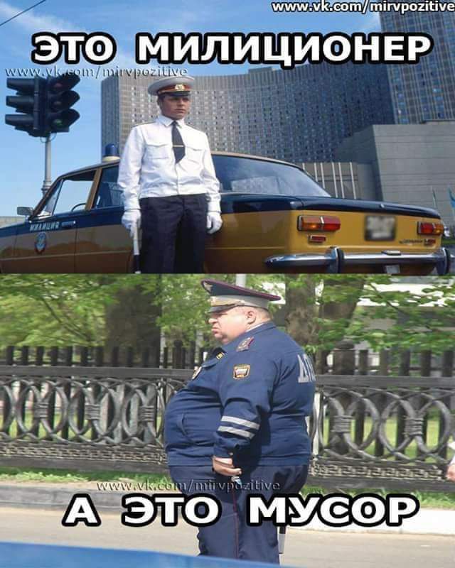 6 это мусэр