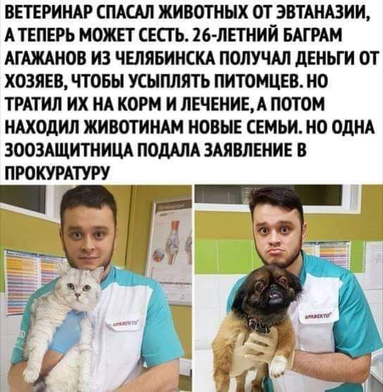 ВЕТЕРИНАР СПАС ЖИВОТНЫХ ОТ ЗВТШЮИИ А ТЕПЕРЬ МОЖЕТ СЕСГЬ 26ЛЕТНИЙ БАГРАМ АГАЖАИОВ ИЗ ЧЕЛЯБИНСКА ПОЛУЧАЛ дЕИЬГИ ОТ ХОЗЯЕВ ЧТОБЫ УСНПЛЯТЬ ПИТОМЦЕВ НО ТРАТИЛ ИХ ИА КОРМ И ЛЕЧЕНИЕА ПОТОМ ИАХОдИЛ ЖИВОТИИАМ ИОВНЕ СЕМЬИ ИО ОДНА ЗООЗАЩИТНИЦА ПОМЛА ЗАЯВЛЕНИЕ В ПРОКУРАТУРУ