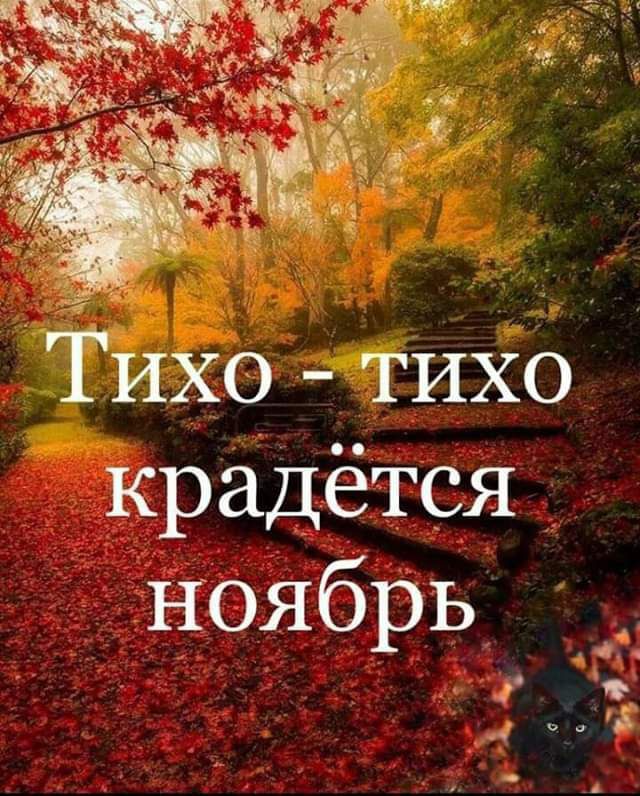 Тихо тихо крадётся ноябрь 4 Ё