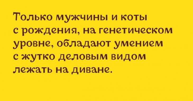 Толь оживит аритмии тт от