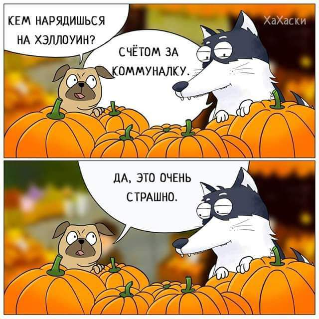 КЕМ ИАРЯДИШЬСЯ НА ХЭЛЛПУИМ дА ЭТП ПЧЕНЬ СТРАШНО