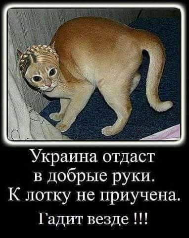Украина отдаст в добрые руки К лотку не приучена Гадит везде