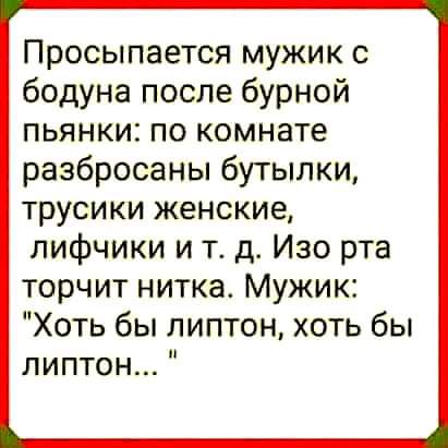 Просыпается мужик с бодуна после бурной пьянки по комнате разбросаны бутылки трусики женские лифчики и тд Изо рта торчит нитка Мужик Хоть бы липтон хоть бы липтон