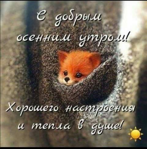 добы ЗЬедёйм