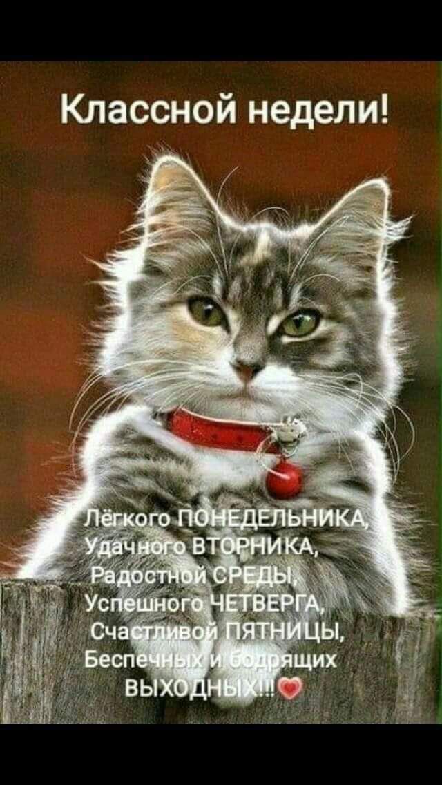 Классной недели