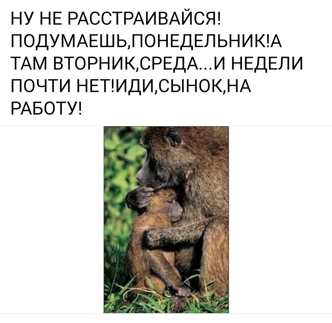 ну НЕ РАССТРАИВАЙСЯ ПОДУМАЕШЬЛОНЕДЕПЬНИЮА ТАМ ВТОРНИКСРЕДАИ НЕДЕЛИ почти НЕТИДИСЫНОКНА РАБОТУ