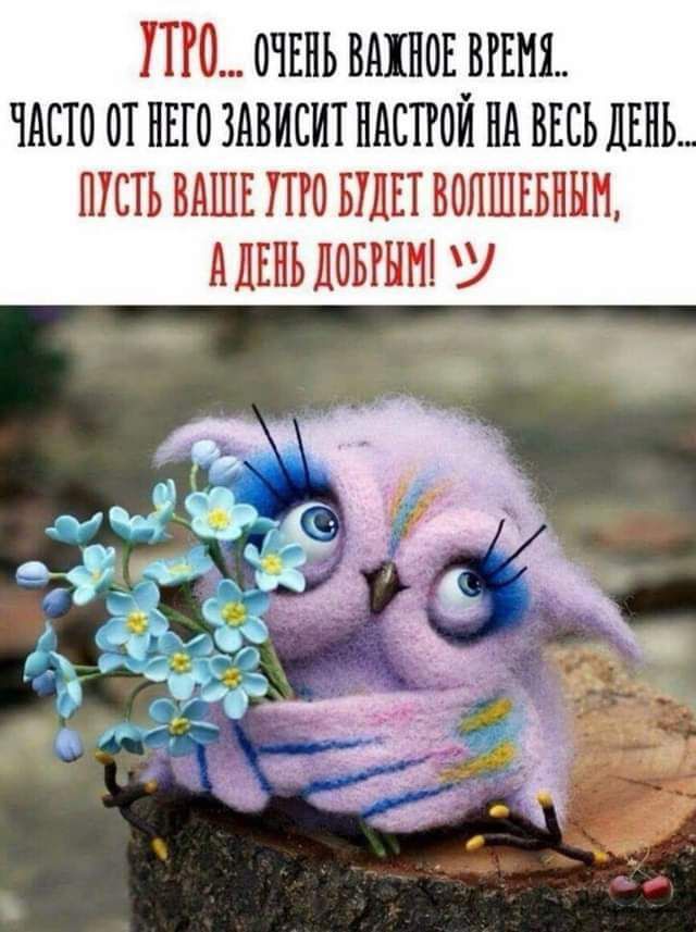 то очвнь шпон чисто от ные здвисит пятой на ввсъ ДЕНЬ ить ВАШЕ то шп вопшнвннн мшьдовшт У