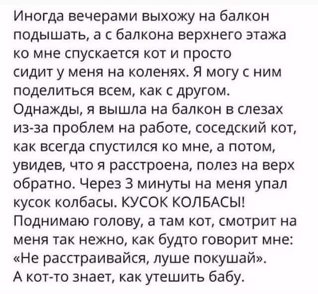 Иногда вечерами выхожу на балкон подышать а с балкона верхнего этажа ко мне спускается кот и просто сидит у меня на коленях Я могу с ним поделиться всем как с другом Однажды я вышла на балкон в слезах из за проблем на работе соседский кот КВК ВСЕГДЕ СПУСТИПСЯ КО мне а ПОТОМ увидев что я расстроена полез на верх обратно Через 3 минуты на меня упал кусок колбасы КУСОК КОЛБАСЫ Поднимаю голову а там к