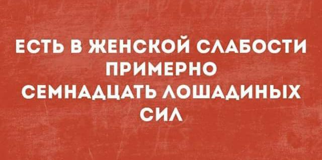 ЕСТЬ В ЖЕНСКОЙ СААБОСТИ ПРИМЕРНО СЕМНААЦАТЬ АОШААИНЫХ СИА