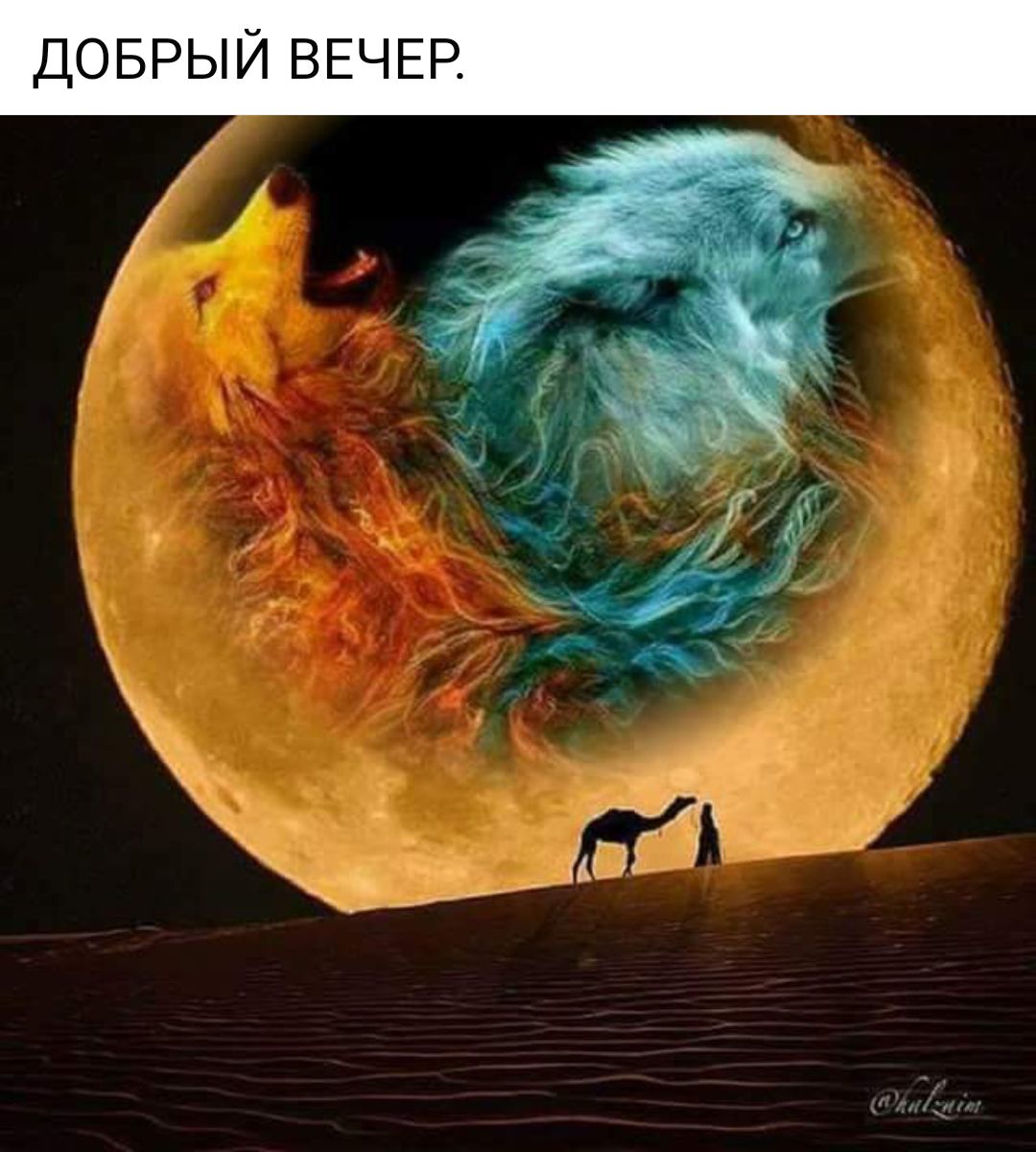 доврый ВЕЧЕР