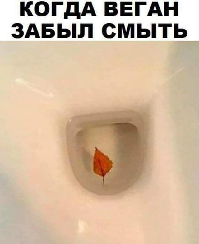 КОГДА ВЕГАН ЗАБЫЛ СМЫТЬ