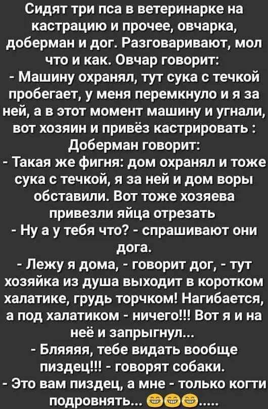 Сидят три пса в ветеринарке на кастрацию и прочее овчарка доберман и дог Разговаривают мол что и как Овчар говорит Машину охранял тут сука течкой пробегает у меня перемкнуло и я за ней а в этот момент машину и угнали вот хозяин и привёз кастрировать доберман говорит Такая же фигня дом охранял и тоже сука течкой я за ней и дом воры обставили Вот тоже хозяева привезли яйца отрезать Ну а у тебя что с