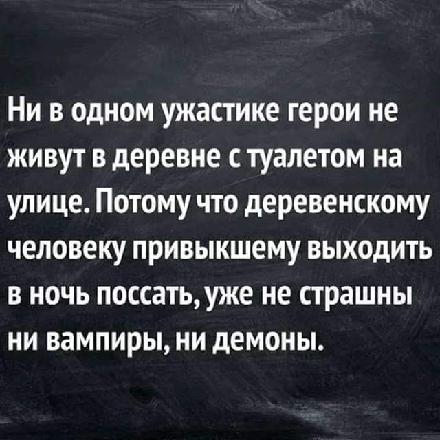 Ни в одном ужастике герои не живут в деревне туалетом на улице Потому что деревенскому человеку привыкшему выходить в ночь поссать уже не страшны ни вампиры ни демоны