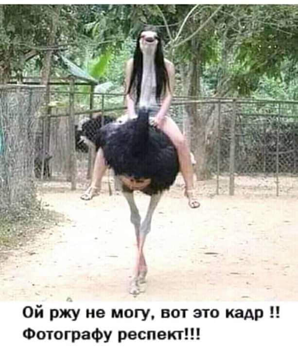 чё Ой ржу не могу вот это кадр Фотографу распев