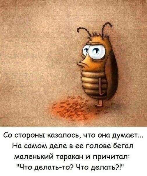 Со стороны казалось что она думает На самом деле в ее голове бегал маленький таракан и причитал Что делатьтс Что делать