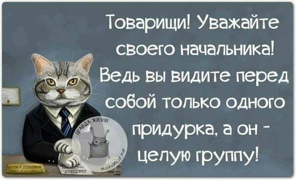 Товарищи Уважайте своего начальника Ведь Вы видите перед собой только одного придурка а он цепую группу