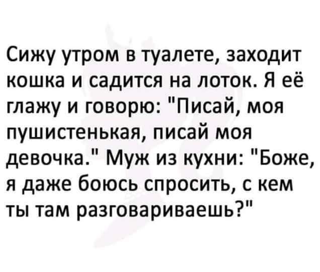 Сижу утром в туалете заходит кошка и садится на лоток я её глажу и говорю Писай моя пушистенькая писай моя девочка Муж из кухни Боже я даже боюсь спросить с кем ты там разговариваешь