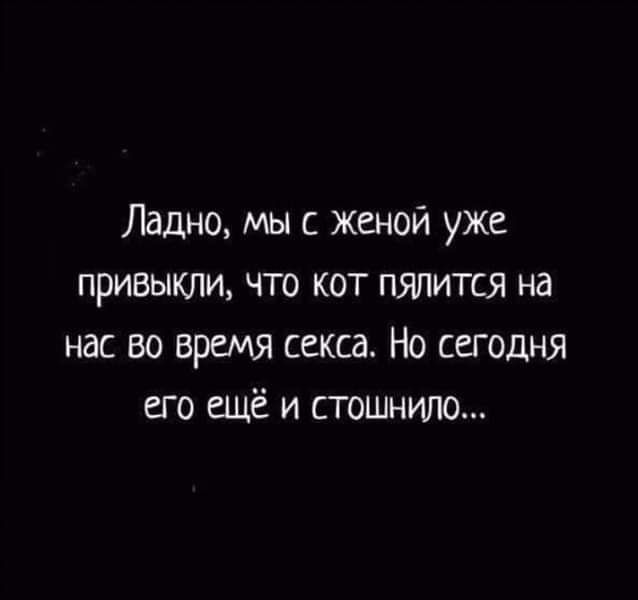 Ладно мы с женой уже привыкли что кот пялится на нас во время секса Но сегодня его ещё и стошнило