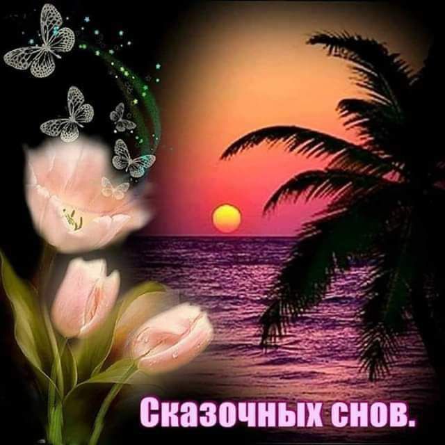 К Сказочных снов