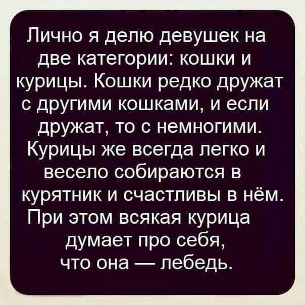 Лично я депю девушек на две категории кошки и курицы Кошки редко дружат другими кошками и если дружат то с немногими Курицы же всегда легко и весело собираются в курятник и счастливы в нём При этом всякая курица думает про себя что она лебедь