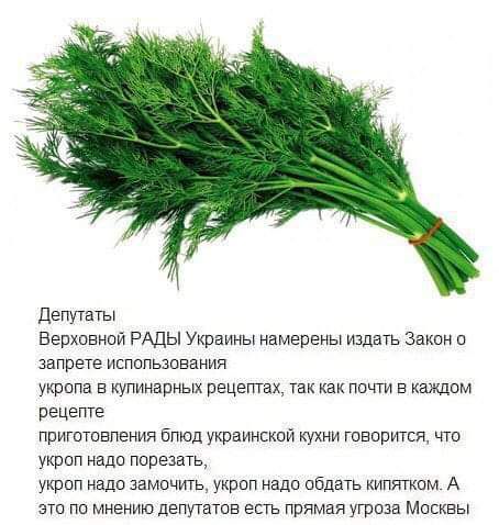 Депутаты Верховной РАДЫ Украины намерены издать Закон о запрете испопьзсвания укропа в купинарных рецептах так как почти в каждом рецепте приготовления Бпюд украинскоп кухни говорится что укроп надо порезать укроп надо замочить украп надо обдать кипятком А это по мнению депутатов есть прямая угроза Москвы