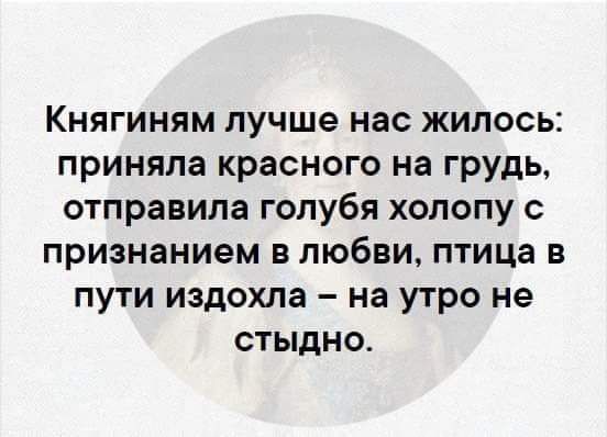 Княгиням лучше нас жилось приняла красного на грудь отправила голубя хопопу признанием в любви птица в пути издохла на утро не стыдно